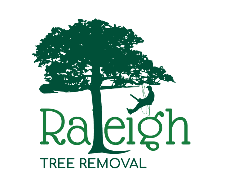 Tree Service Raleigh NC Call Now (984) 9603003 Tree Removal; Tree